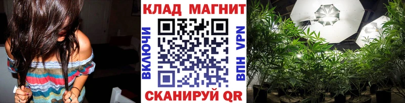Виды наркоты Кизляр Канабис Меф мяу мяу А ПВП Гашиш Cocaine
