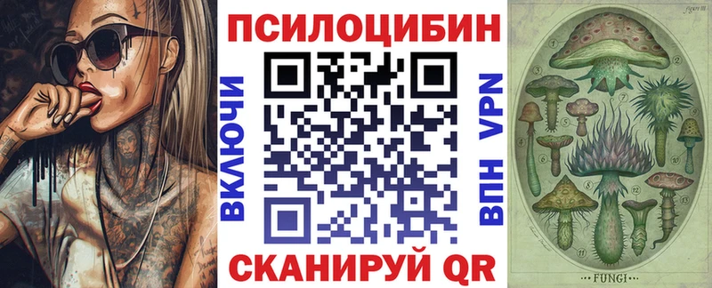 Псилоцибиновые грибы мицелий  Кизляр 