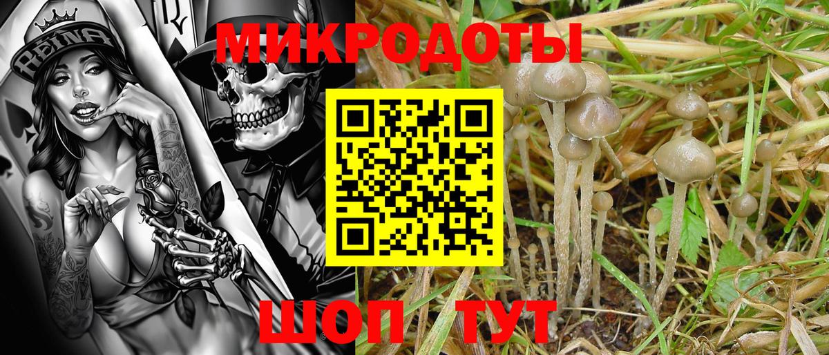 Галлюциногенные грибы Magic Shrooms  Вход с VPN  Кизляр 