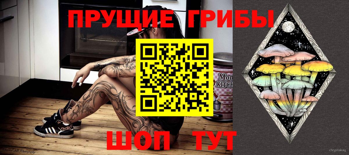 Псилоцибиновые грибы Psilocybine cubensis Кизляр